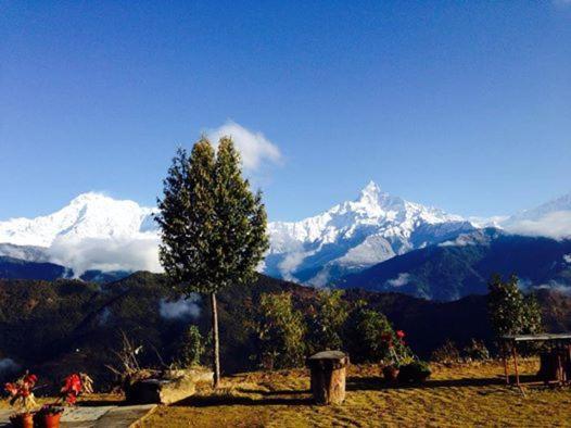 Himalayan Deurali Resort Pokhara Bagian luar foto